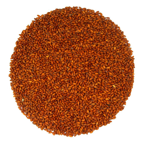 Halim Seeds For Weight Loss: Add Garden Cress Seeds To Your Daily Diet To Shed Fats