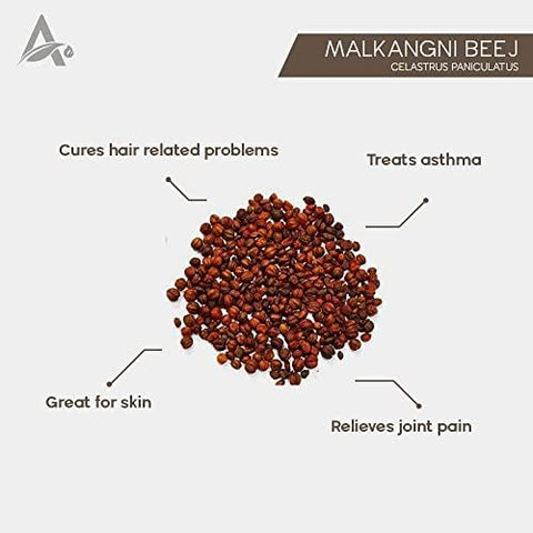 Namo Organics - Malkangni Seeds 100gm for Brain and Memory- Jyotishmati