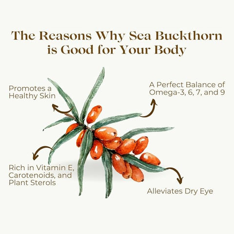 Sea Buckthorn Berry (Powder)