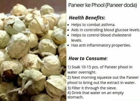 Paneer Dodi Phool