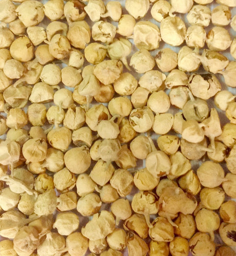 Paneer Dodi Phool