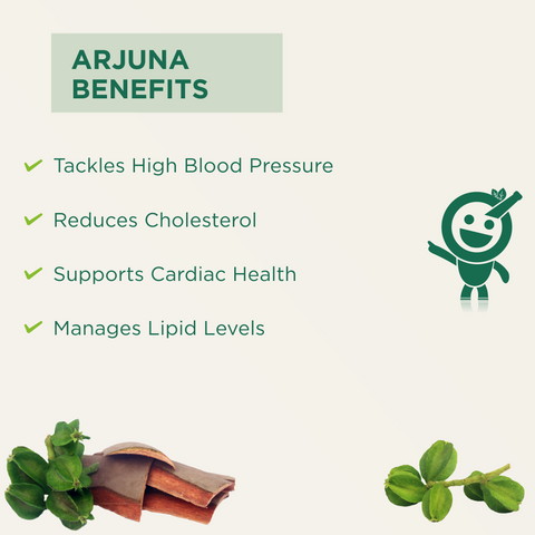 Namo Organics - Arjun ki Chaal Powder - Terminalia Arjuna - Double Filtered 100% Arjun Bark Fine Powder