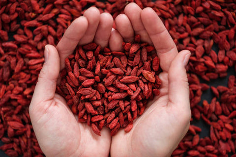 Namo Organics - Dried Goji berries Without Sugar - Unsweetened Dry Fruits Goji berry