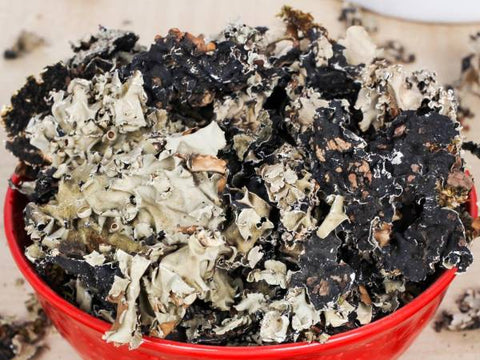 Namo Organics - Stone Flower Spices  - (Dagad Phool, Kalpasi, Patthar Ke Phool) for biryani (Stone Flower)