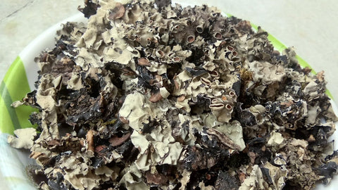 Namo Organics - Stone Flower Spices  - (Dagad Phool, Kalpasi, Patthar Ke Phool) for biryani (Stone Flower)