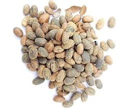 Namo Organics Raw jamalgota beej - Jamalghota Beej - Jamal gota Seeds - for hair growth