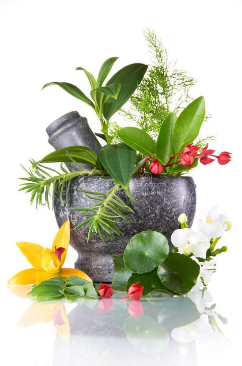 Superfoods & Herbs