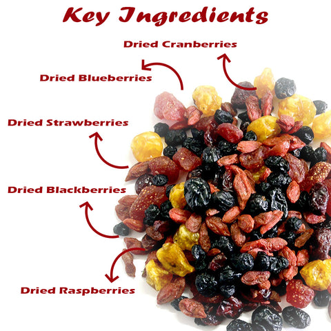 Namo Organics - Super Berry Mix - Dried Mixed Berries | 5+ Berry Dry Fruits like Cranberries, Blueberries, Strawberries, Goji Berries, Black current